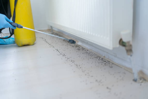 Best Pest Control for Restaurants  in Carnot Moon, PA